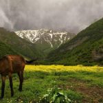 سفر یک‌روزه به اطراف تهران: ماجراجویی در دل طبیعت