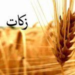 ۱۲۲ میلیارد تومان زکات در گلستان جمع آوری شد – خبرگزاری مهر | اخبار ایران و جهان