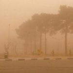 کیفیت هوا در بوشهر خطرناک است/ شاخص ۵۰۰ هم موجب تعطیلی نشد – خبرگزاری مهر | اخبار ایران و جهان