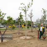 فقط ۵ میلیون متر مکعب آب فضای سبز قم از چاه ها تامین می شود – خبرگزاری مهر | اخبار ایران و جهان