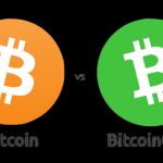 صرافی نیپوتو از تفاوت بین بیت‌کوین و بیت‌کوین کش می‌گوید