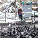 موج بارش و هوای سرد برمی‌گردد ؟
